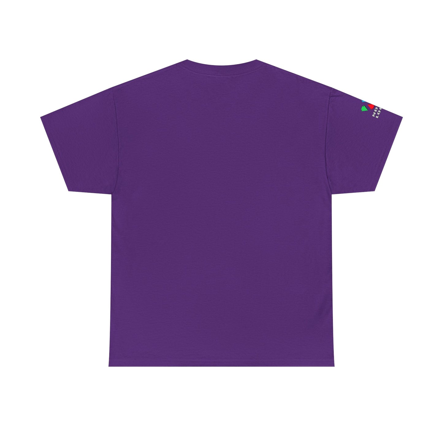 Southwest Sunrise 2 in Rust Gildan Unisex Tee