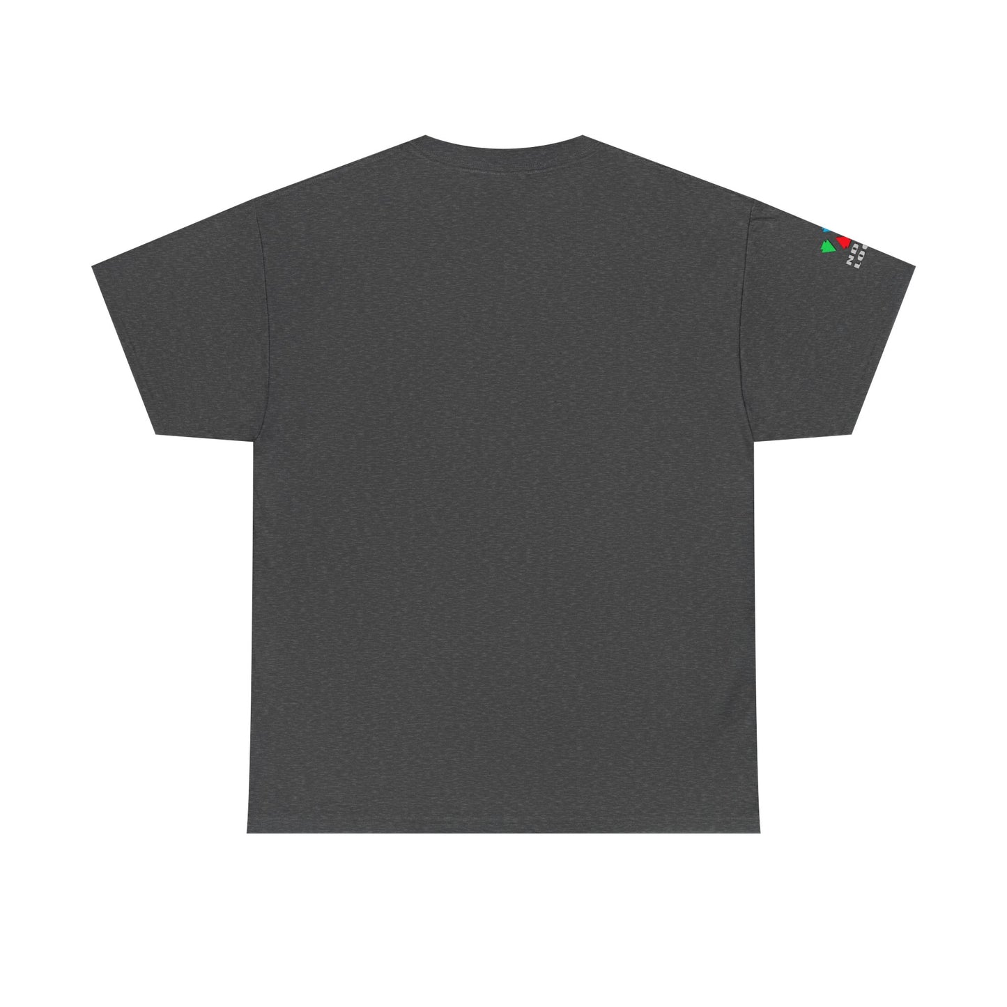 Hummingbird Blessing in Rust Gildan Unisex Tee
