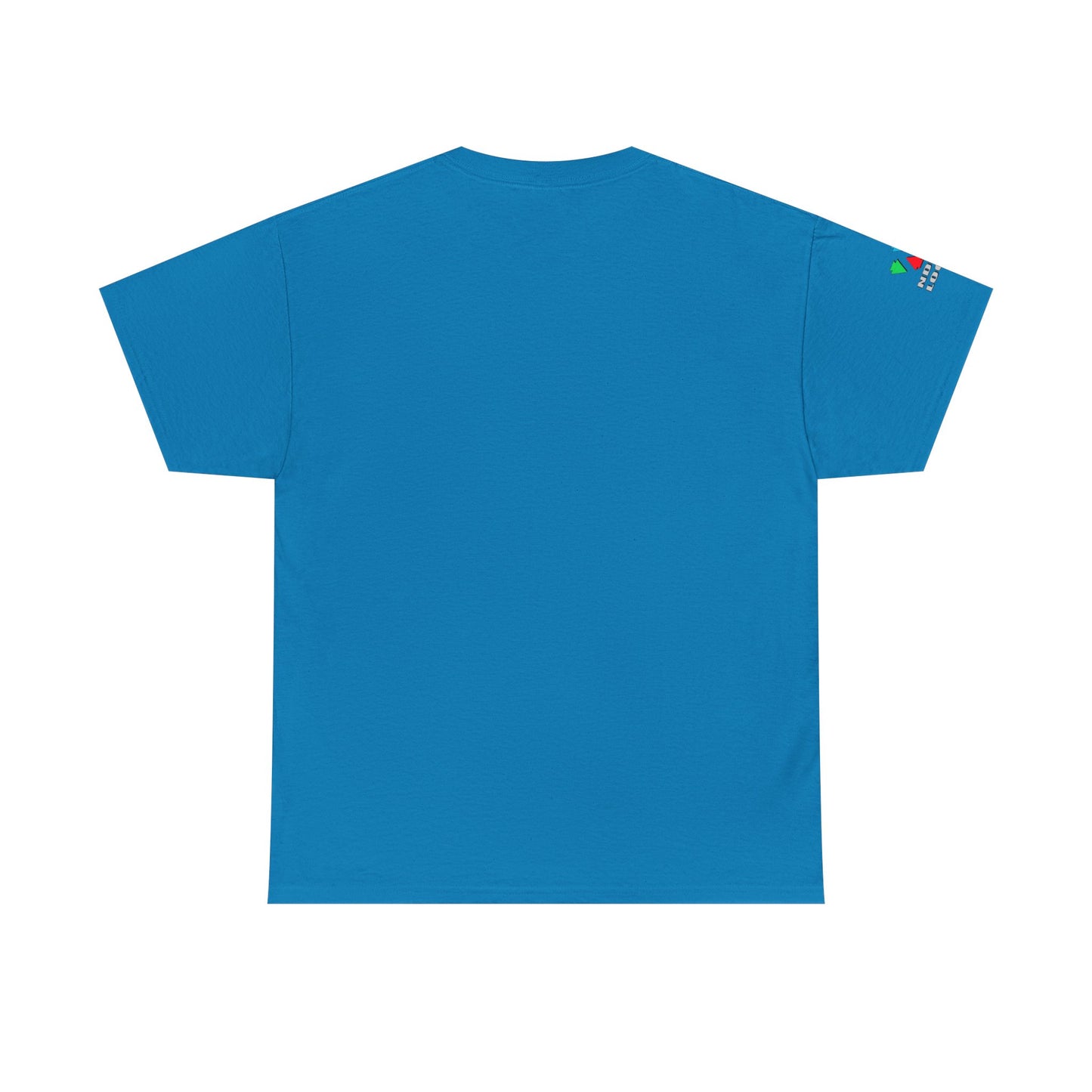 Hummingbird Blessing in Rust Gildan Unisex Tee