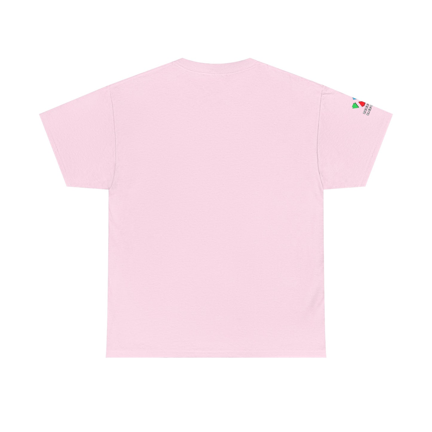 Hummingbird Blessing in Rust Gildan Unisex Tee