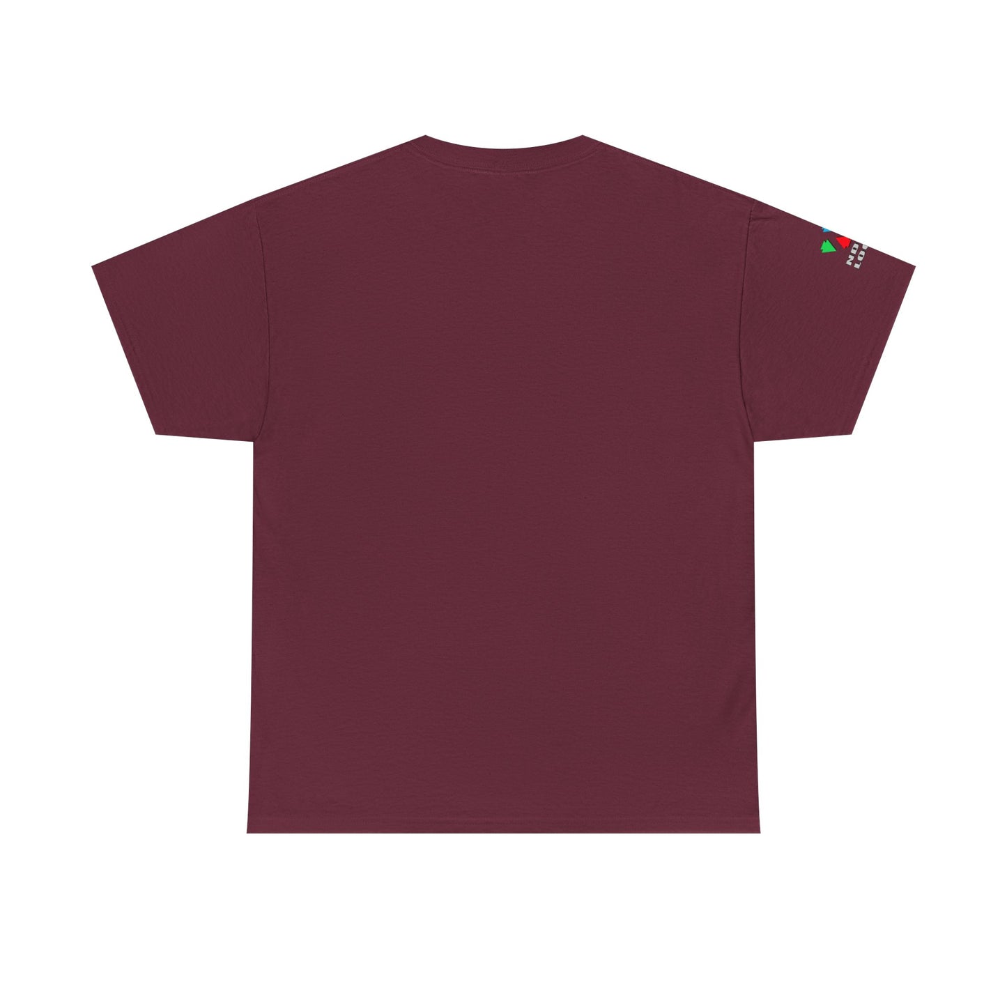 Hummingbird Blessing in Rust Gildan Unisex Tee