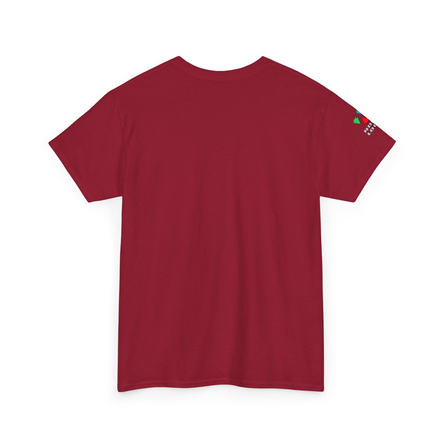 Feather Blessings in Pink Gildan Unisex Tee