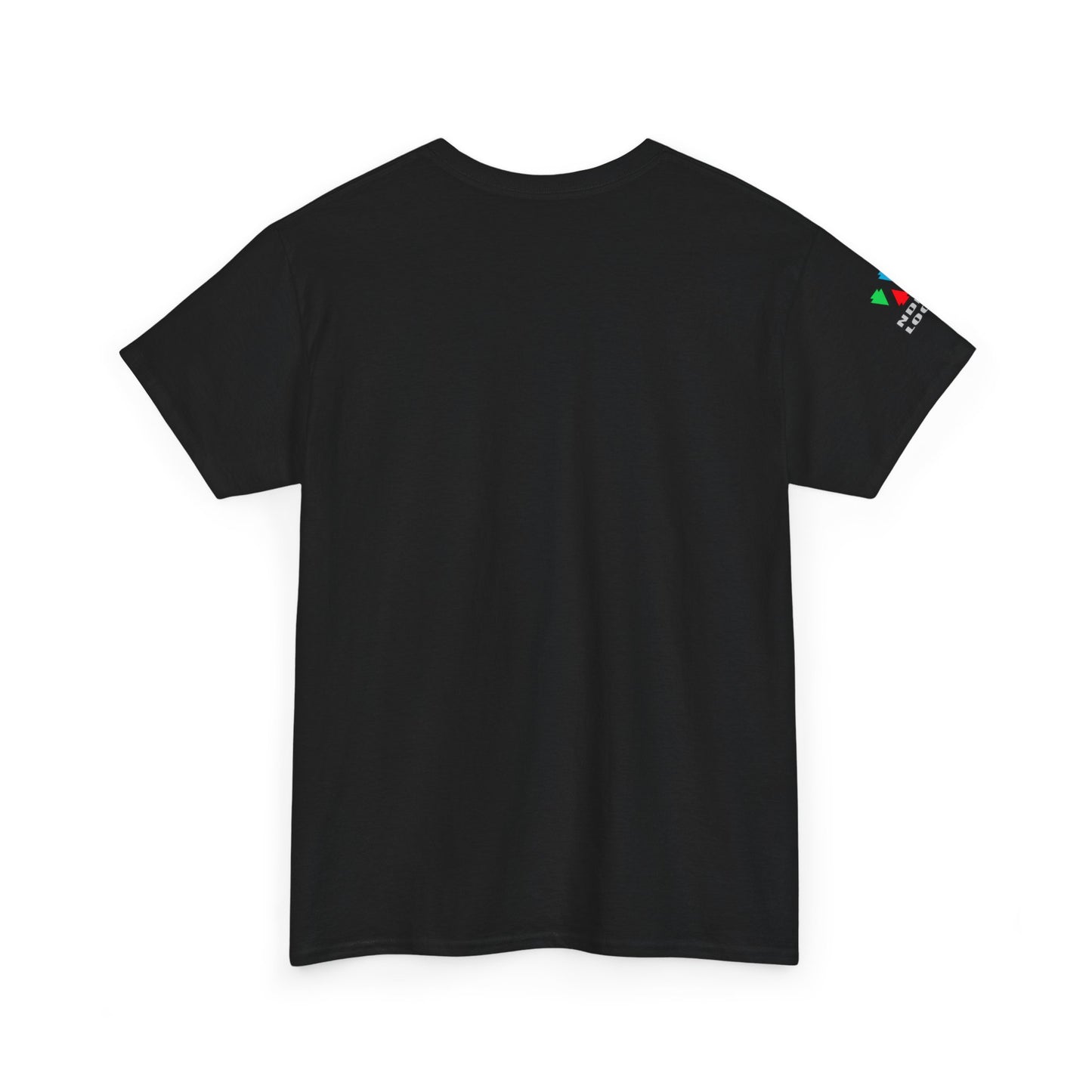 Hummingbird Blessing in Rust Gildan Unisex Tee