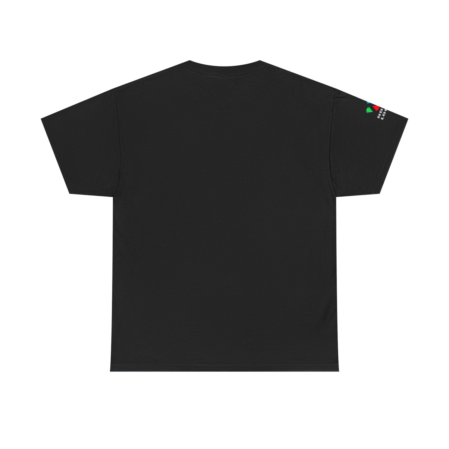 Rainbow Hummingbird Blessing Gildan Unisex Tee