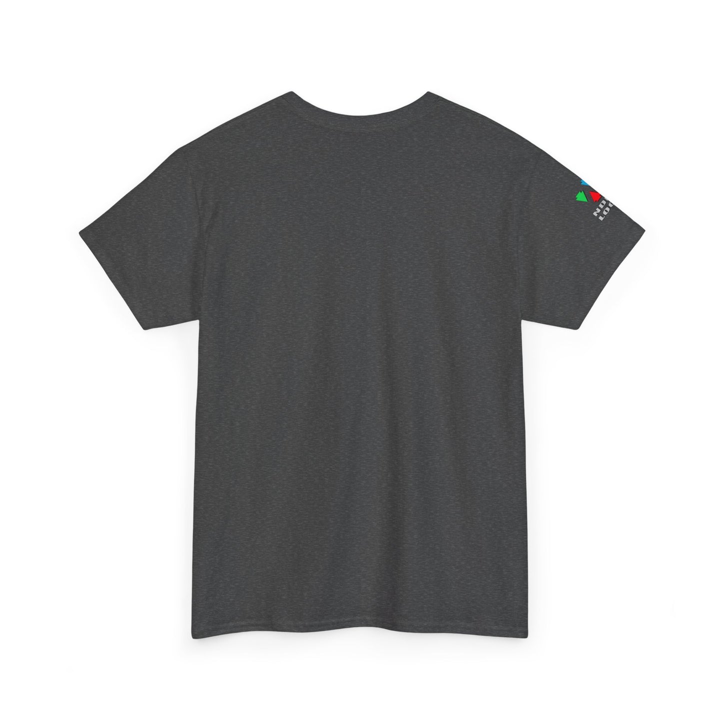 Hummingbird Blessing in Rust Gildan Unisex Tee