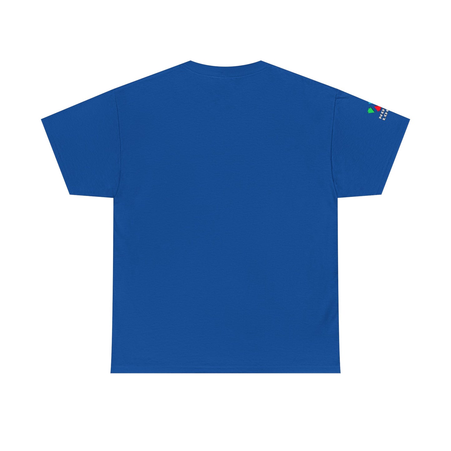 Rainbow Hummingbird Blessing Gildan Unisex Tee