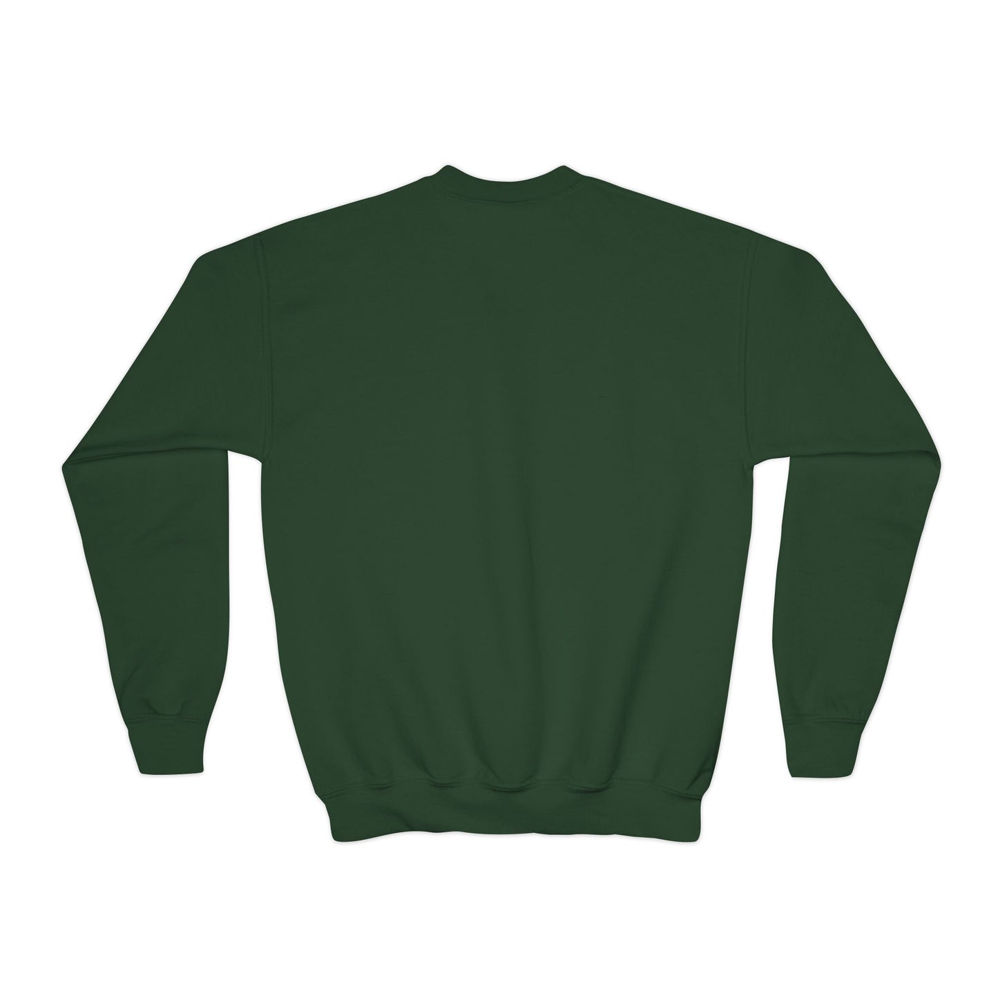Rain and Sun in Green Youth Crewneck Sweatshirt