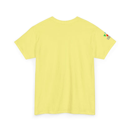 Southwestern Sunset Gildan Unisex Tee