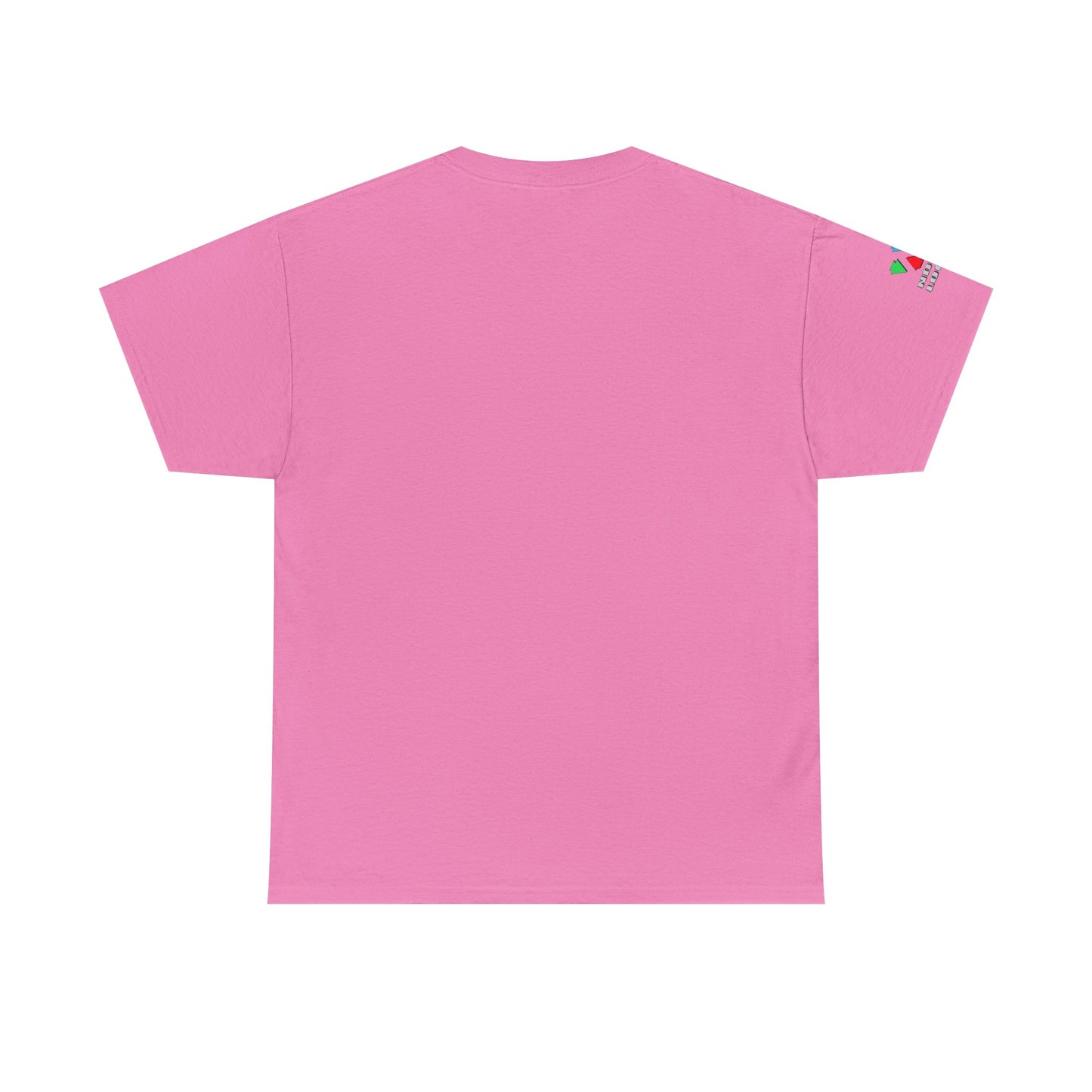 Rainbow Hummingbird Blessing Gildan Unisex Tee