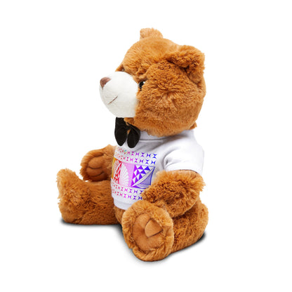 Rainbow Sunrise Teddy Bear with T-Shirt