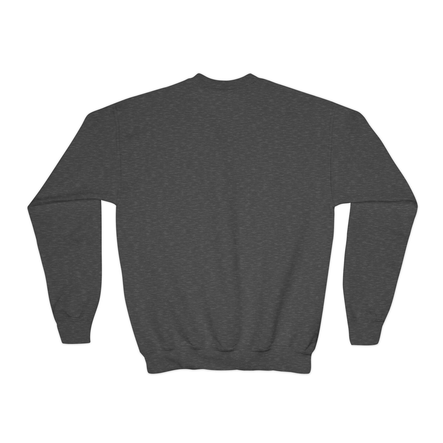 Feather Blessings in Blue Youth Crewneck Sweatshirt